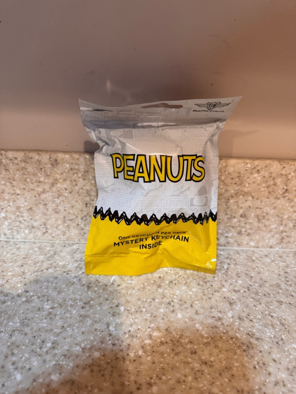 Peanuts Mystery Surprise Keychain Pack -